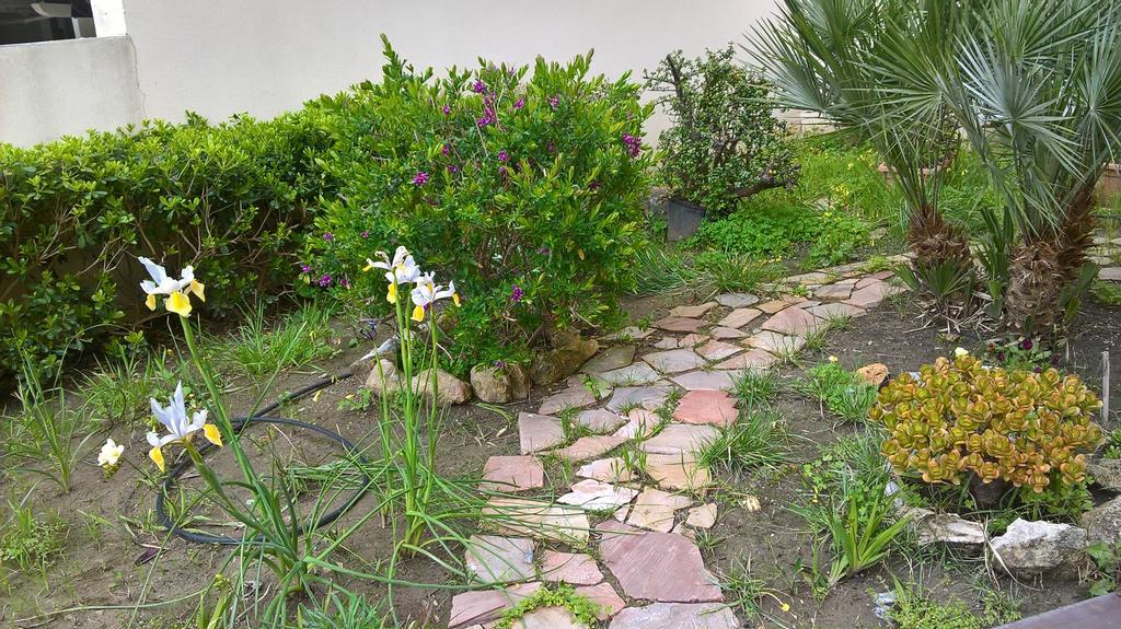 Appartamento Tulipano Alghero Zewnętrze zdjęcie